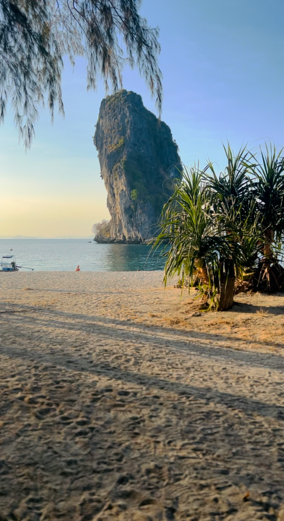 Jungle Beats & Temple Treats