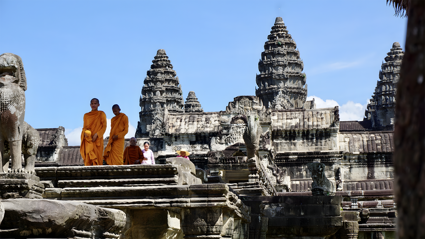 Jungle Beats & Temple Treats