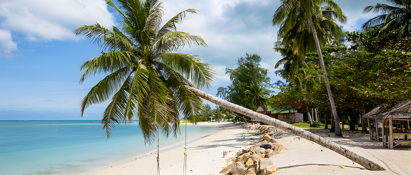 Jungle Beats & Temple Treats